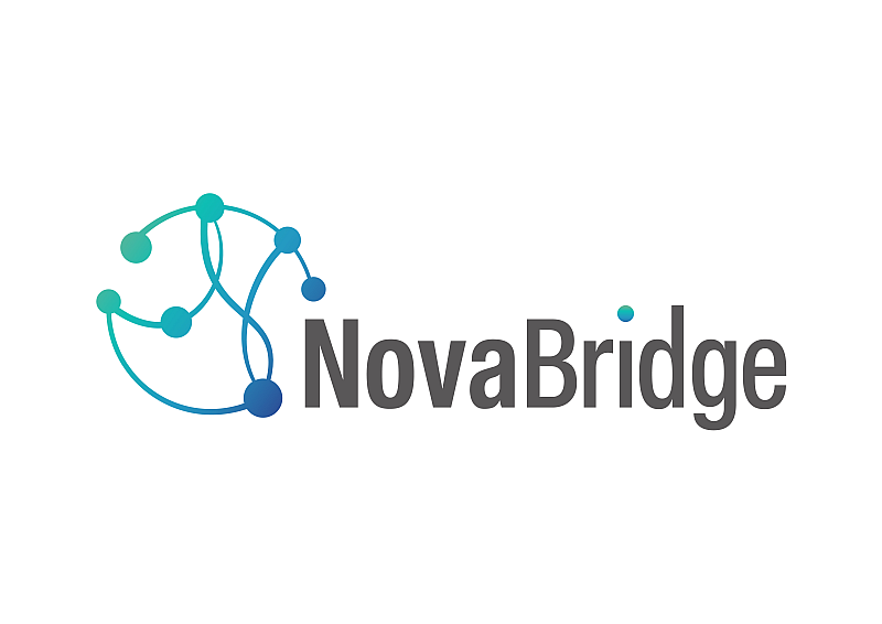 NovaBridge wins FDA Fast Track for givastomig in gastric cancer