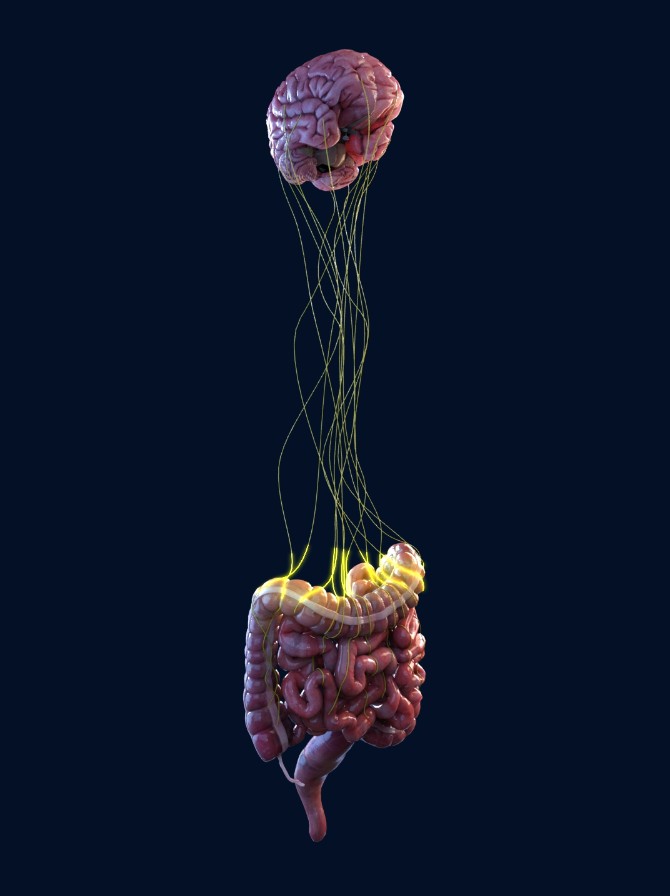 Vibrant Gastro capsule used in JAMA Psychiatry gut-brain study