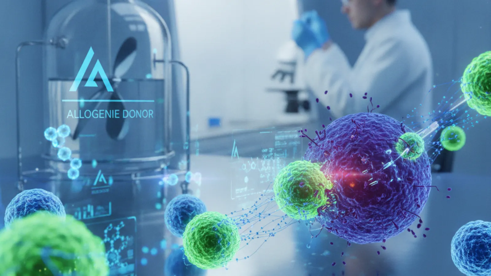 allogeneic NK cell therapy