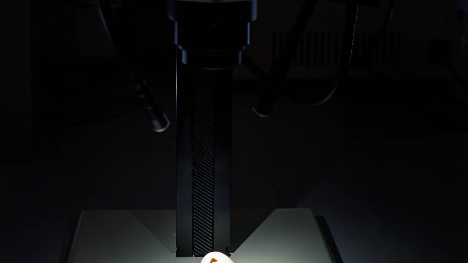 Neion Bio closes $23m Series A for egg-based biologics platform