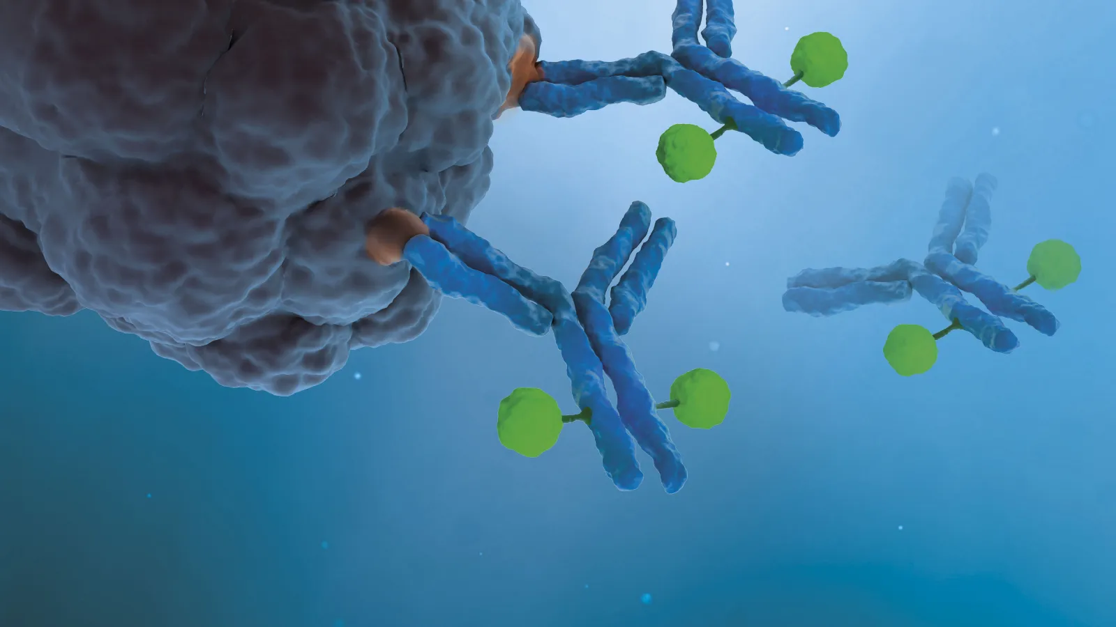 SOTIO doses first patient in CDH17-targeting ADC trial for CRC